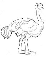  dessin en ligne emu-coloring-13