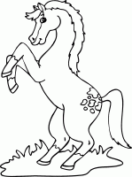  dessin coloriage chevaux021
