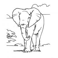  coloriage à imprimer elephant