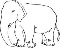  dessin à imprimer elephant-4