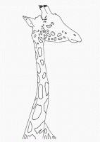  coloriage à dessiner tete-girafe