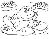  dessin à colorier grenouille-feuille