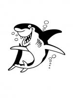  dessin coloriage requin-10