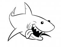  coloriage à dessiner requin-4