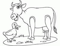  dessin coloriage vache-25