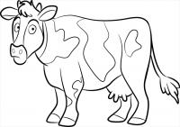  dessin coloriage vache-3