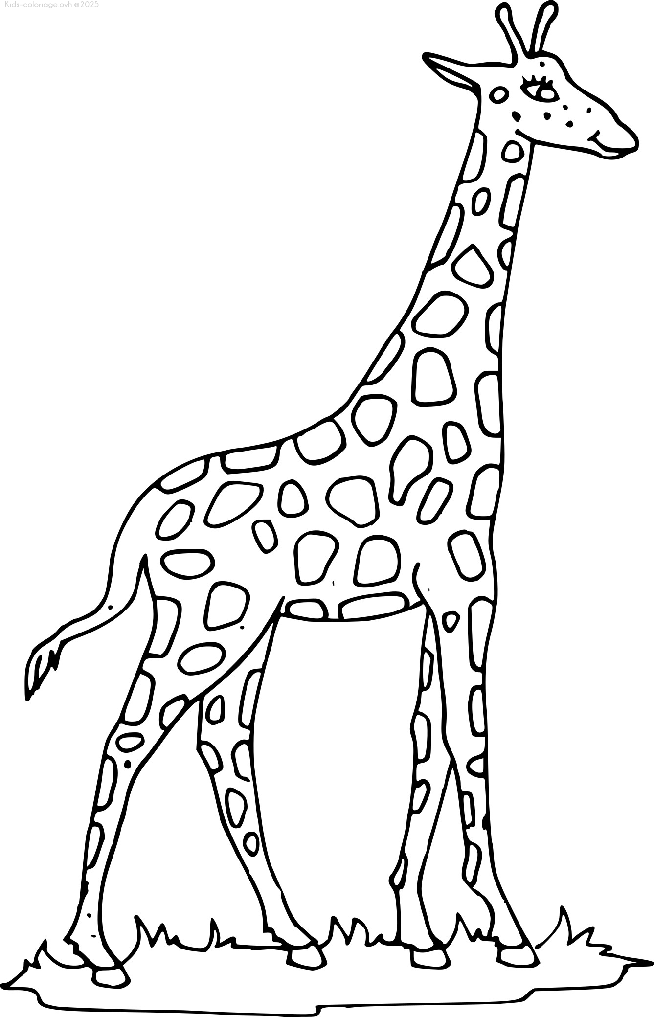 Coloriage à imprimer girafe0