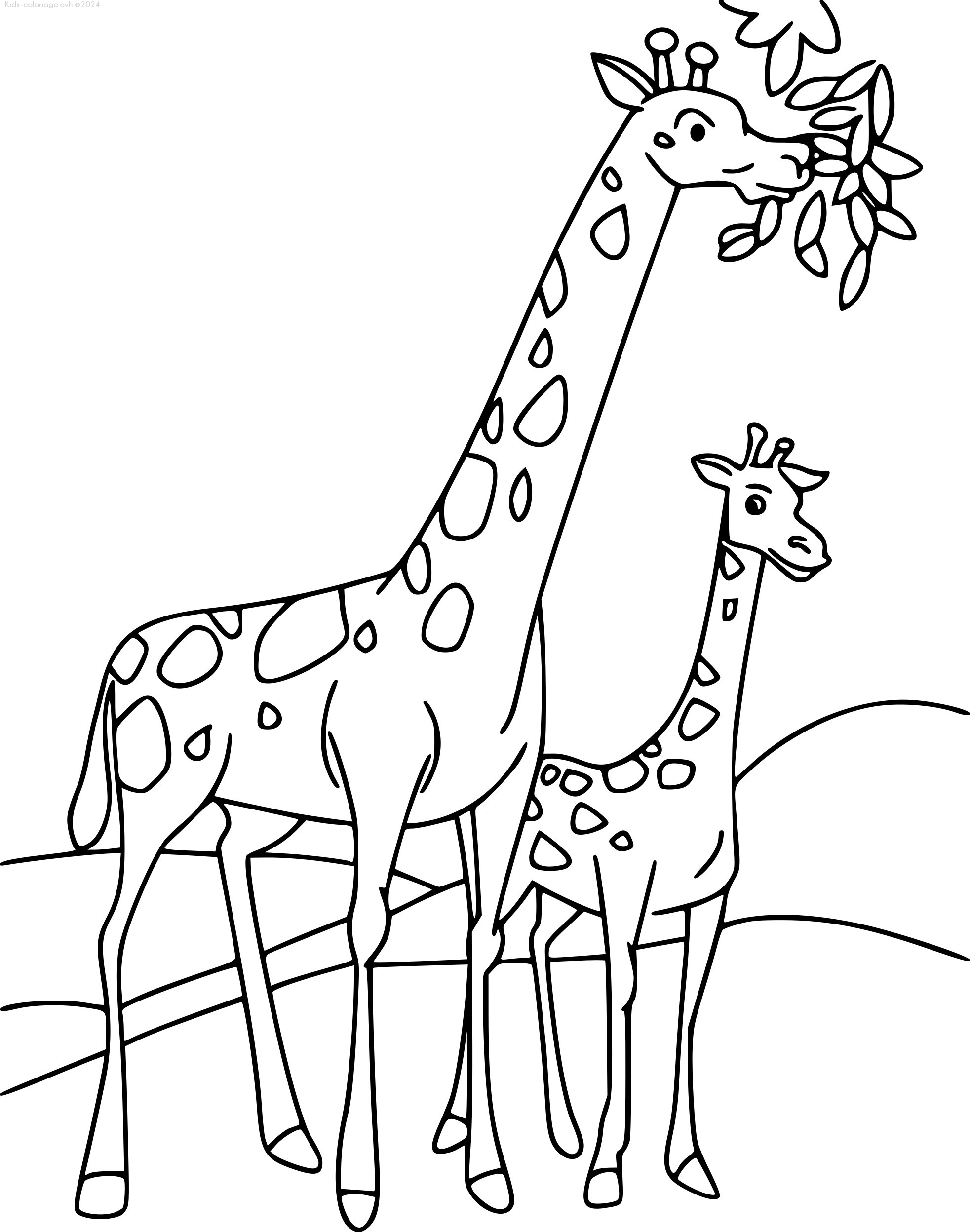 Coloriage à Imprimer Girafe 3