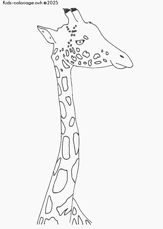 Coloriage à imprimer tetegirafe