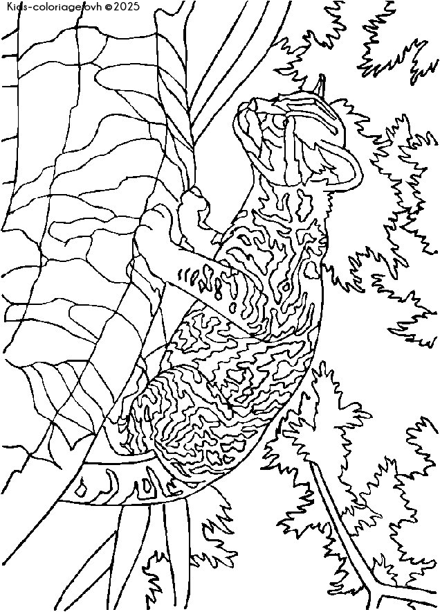 Coloriage à imprimer lion2