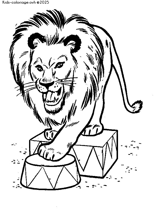 Coloriage à imprimer lion5