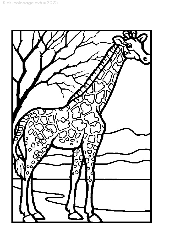 Coloriage à imprimer coloriageanimauxzoo39