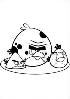  dessin coloriage angry-birds-33