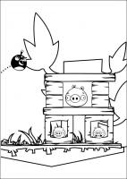  coloriage gratuit angry-birds-61
