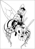  coloriage à dessiner ant-man-2