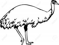  dessin à imprimer emu-coloring-10
