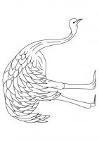  coloriage à dessiner emu-coloring-7