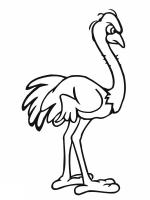  dessin à imprimer emu-coloring-9