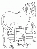  dessin coloriage chevaux009