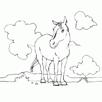  dessin à colorier chevaux019