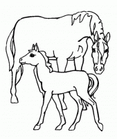  dessin à colorier chevaux020