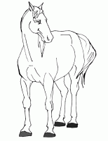  dessin à colorier chevaux032