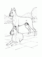  dessin à imprimer chien-dog