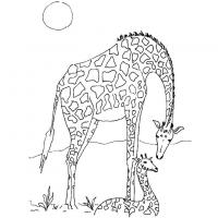  dessin à colorier afrique-giraffe