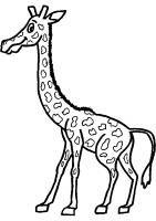  dessin à colorier girafe-4