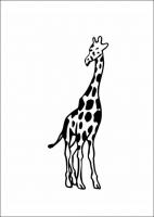  dessin à imprimer petite-girafe