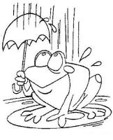  dessin coloriage grenouille-adore-pluie