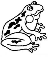  dessin à imprimer grenouille-coasse
