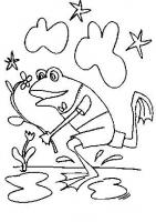 dessin dessin grenouille-course