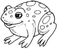  dessin coloriage grenouille-grosse