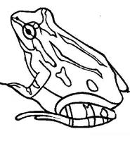  dessin à colorier grenouille-interrogative