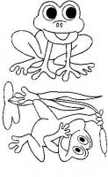  dessin dessin grenouille-jeu