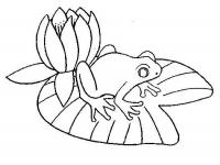  dessin en ligne grenouille-nenuphar