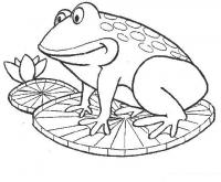  coloriage grenouille-nénuphar