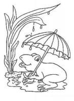  dessin en ligne grenouille-pluie