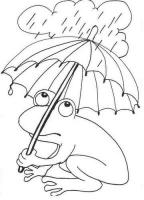  coloriage à dessiner grenouille-sous-pluie