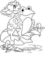  coloriage à dessiner grenouille-tetar-fleur