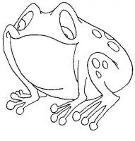  coloriage à dessiner grenouille-vieille