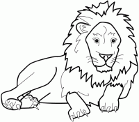  dessin coloriage lion-13