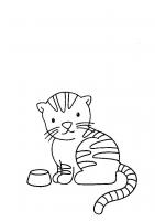  dessin à imprimer chat