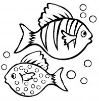  dessin dessin poisson