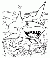  coloriage à dessiner requin-14