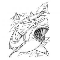 coloriage à dessiner requin-2
