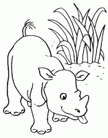  coloriage à dessiner rhinoceros-0