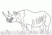  coloriage à imprimer rhinoceros-10