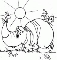  dessin en ligne rhinoceros-14